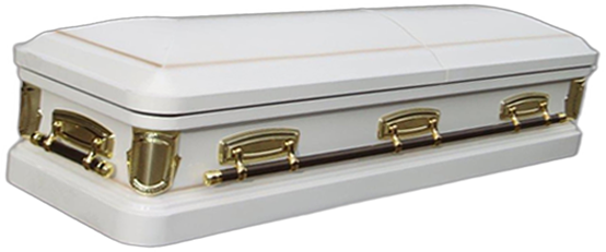The Marsfield coffin