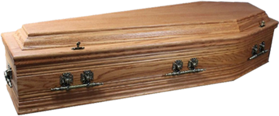 Meath coffin