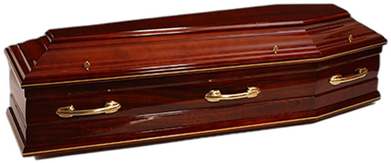 The Merrion coffin