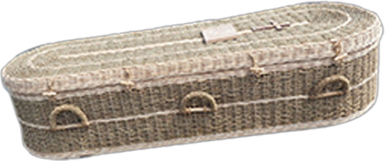 Pandamus coffin