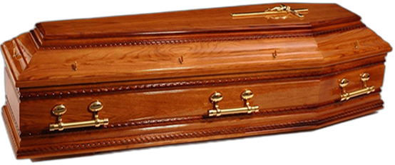 The Surrey coffin